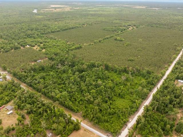 Land for sale in Suwannee, Florida