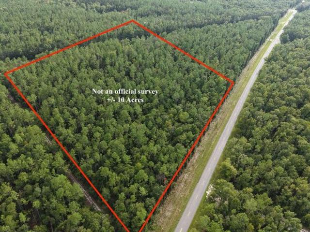 Land for sale in Suwannee, Florida