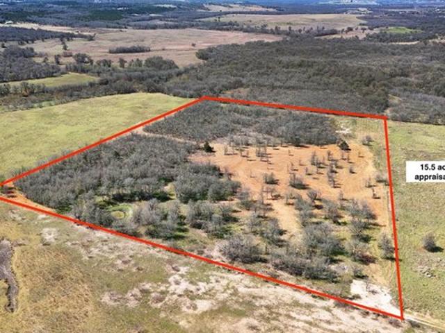 Farm for sale in Elgin, Texas