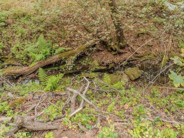 Land for sale in Fiddletown, California