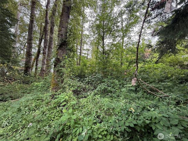 Land for sale in La Rosa, Renton