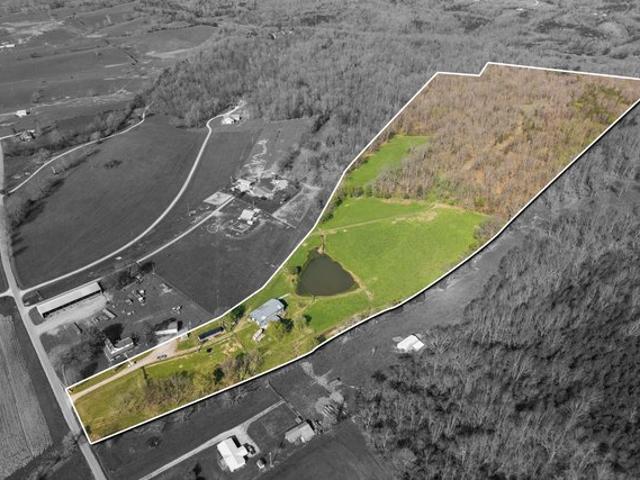 Farm for sale in Sadieville, Scott County