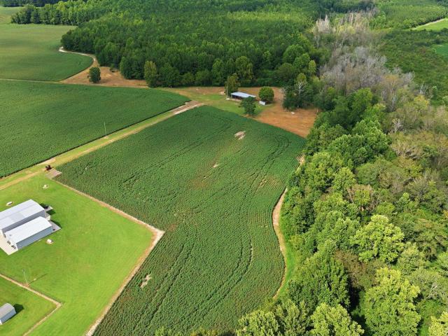 Land for sale in Hobgood, North Carolina