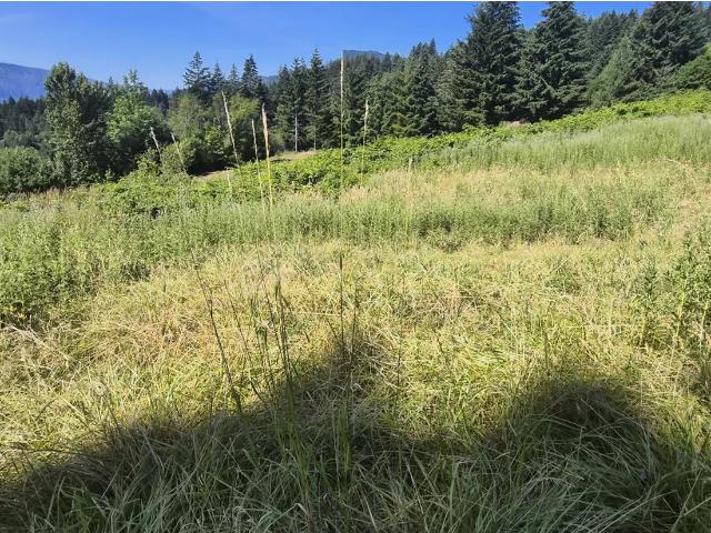 Land for sale in Stevenson, Washington