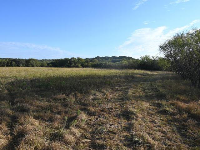 Land for sale in Eastland, Texas