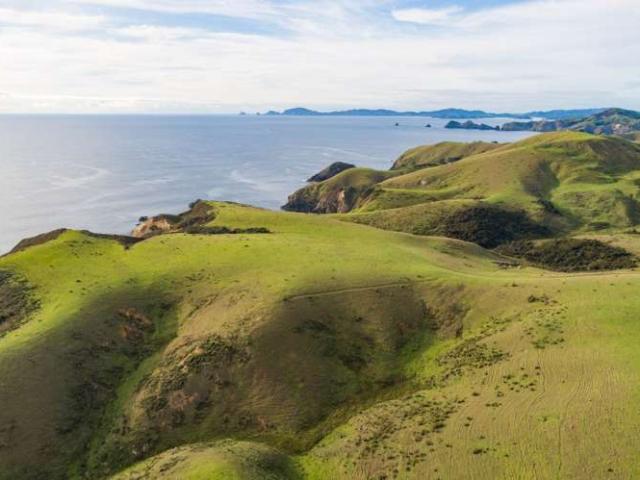 Property for sale in Karetu, Northland