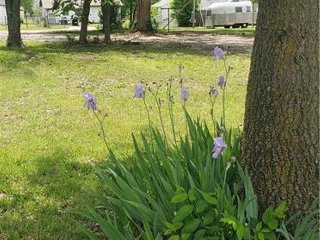Land for sale in Coffeyville Land for sale in Coffeyville
