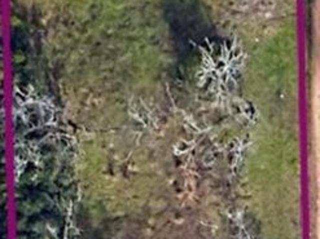 Land for sale in Dougherty, Georgia