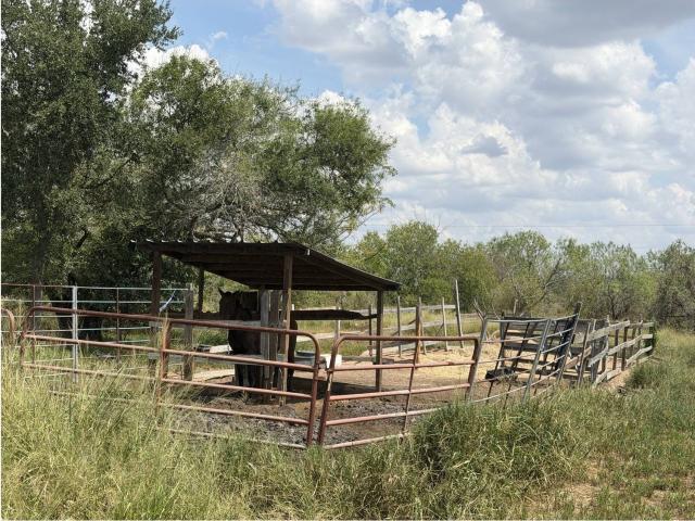House for sale in Elmendorf, Bexar County