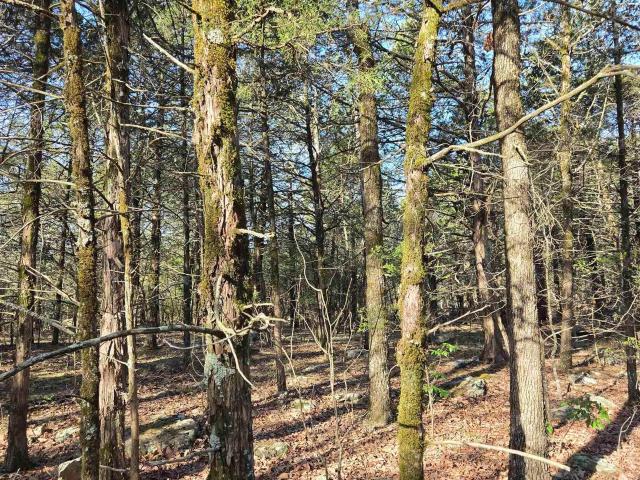 Land for sale in Bradford, Jackson County