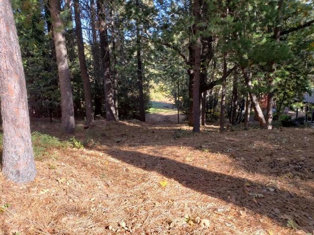 Land for sale in Murphys, California