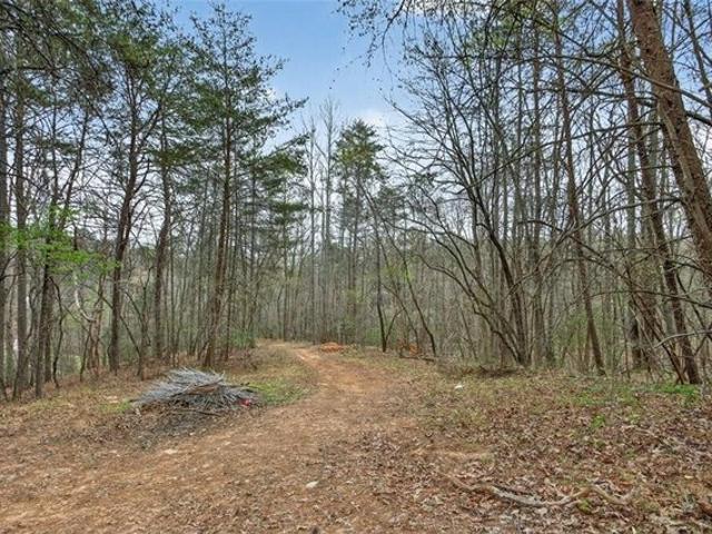Land for sale in Ball Ground, Cherokee County