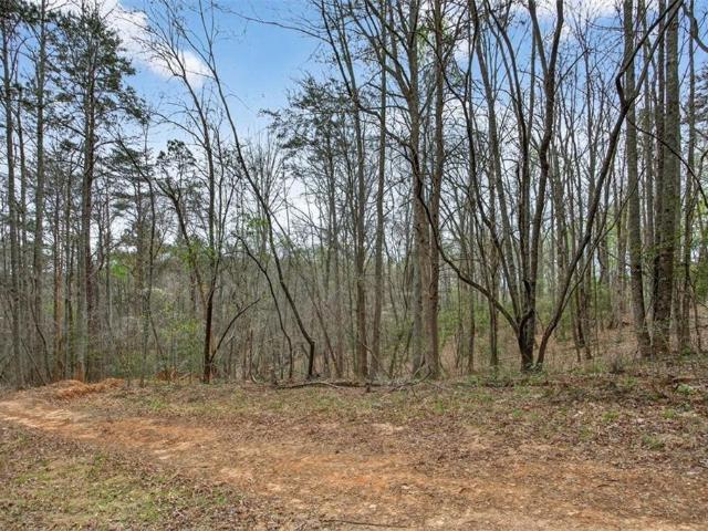 Land for sale in Ball Ground, Georgia