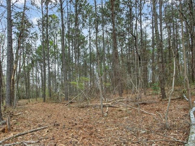 Land for sale in Worley Crossroads, Ball Ground