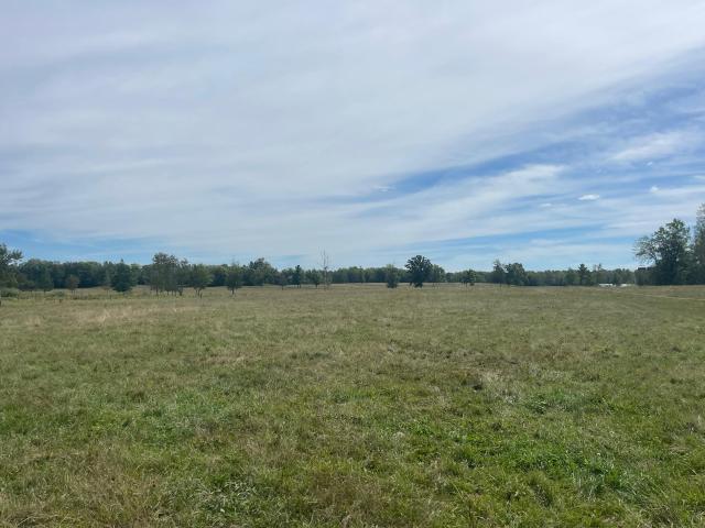Land for sale in Pliny Township, Aitkin County