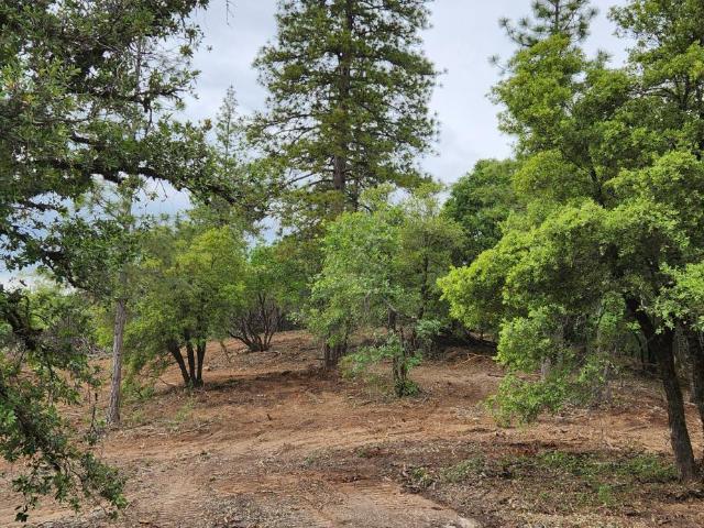 Land for sale in Grass Valley, California