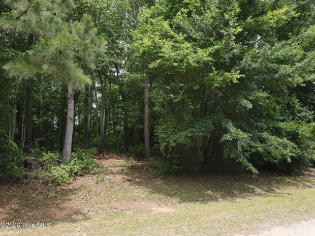 Land for sale in Whitakers, North Carolina