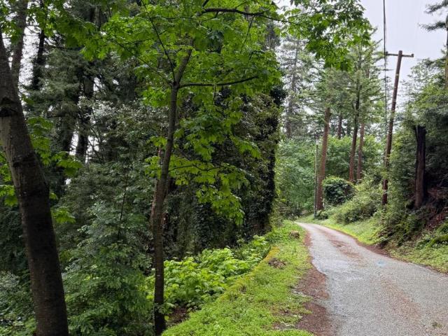 Land for sale in Redwood Estates, California