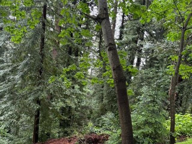 Land for sale in Redwood Estates, California