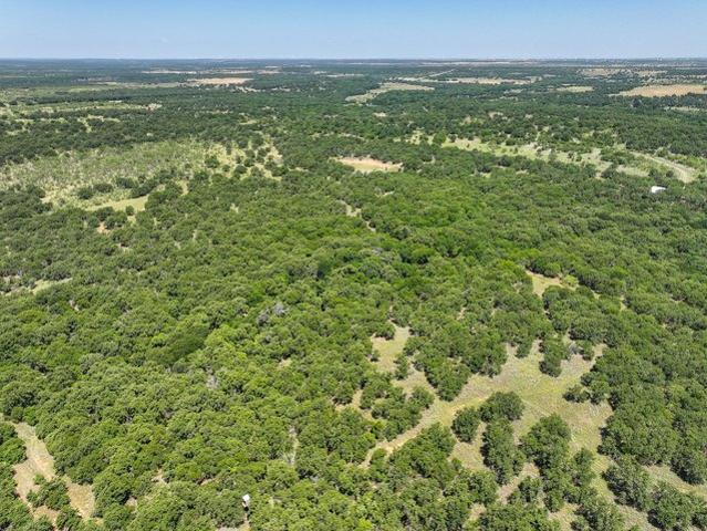 Land for sale in Jacksboro, Texas