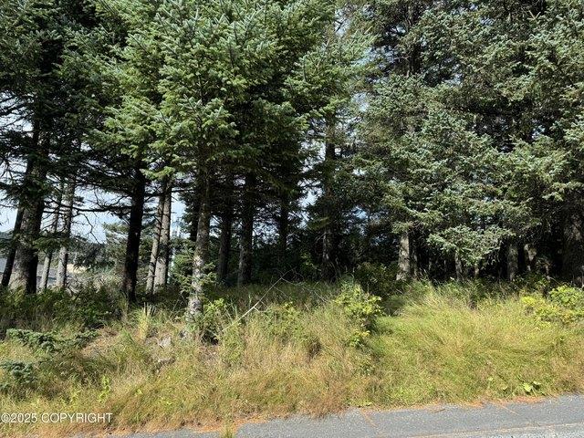 Land for sale in Kodiak