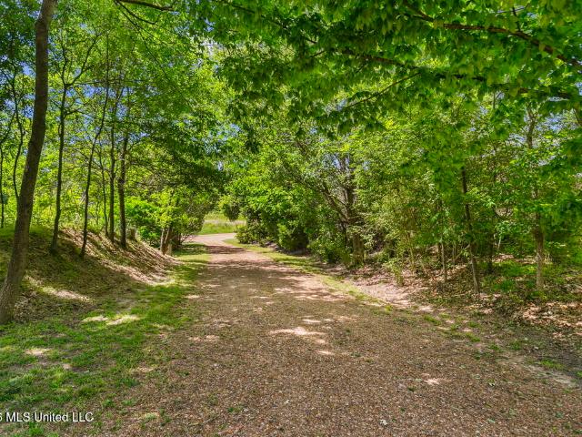 House for sale in Yazoo City, Mississippi