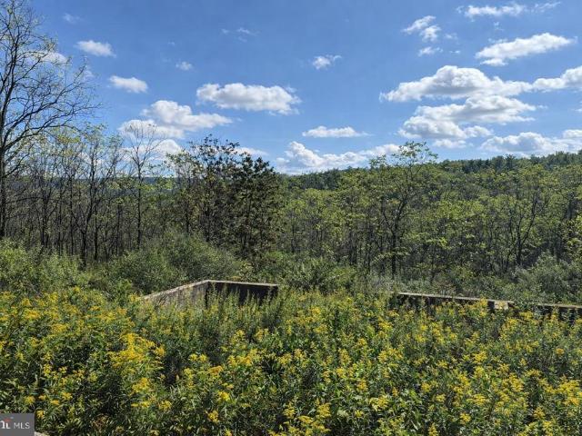 Land for sale in Pennsylvania