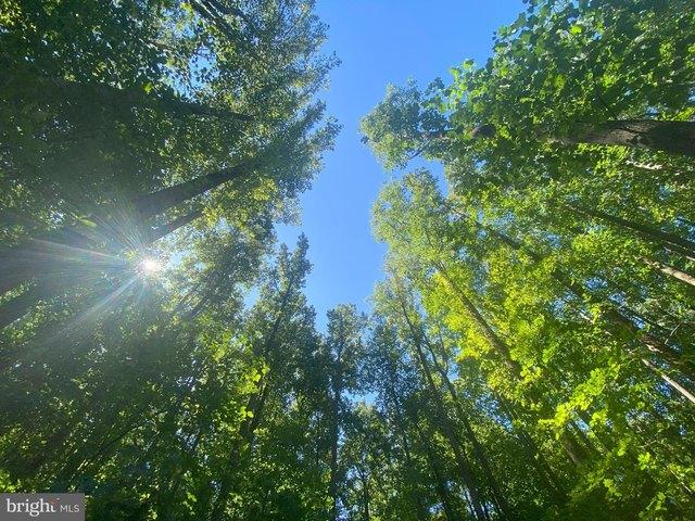 Land for sale in Chester, Pennsylvania