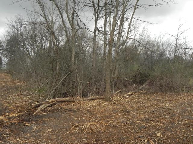 Land for sale in New Berlin, Wisconsin