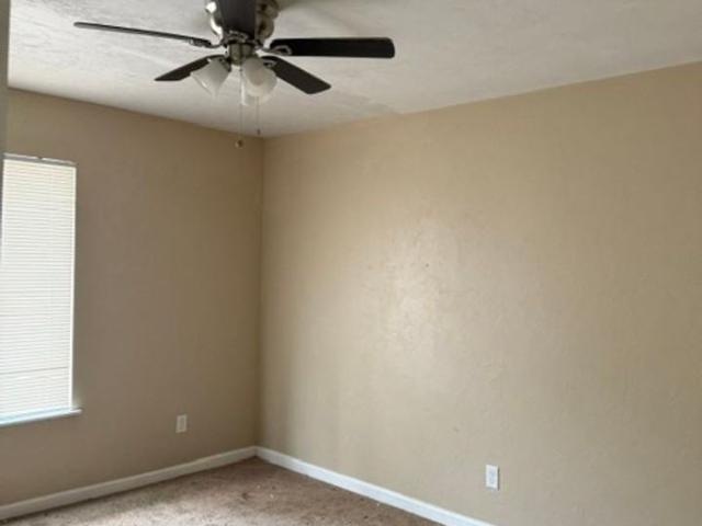 Apartment for rent in Tallahassee, Florida