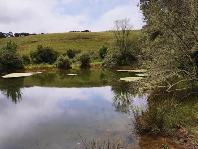 Land for sale in Ehlanzeni, Mpumalanga