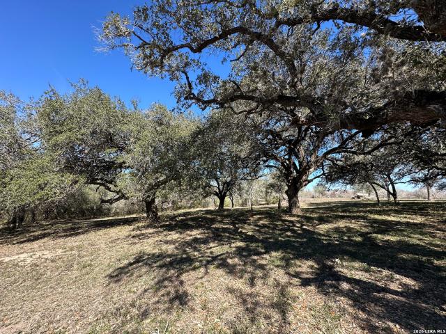 Land for sale in Bee, Texas