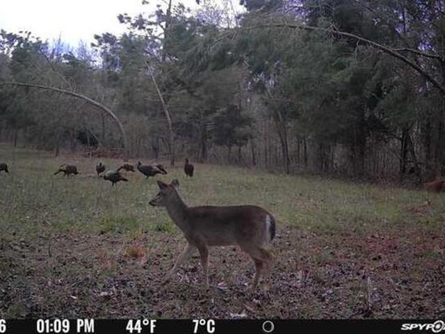 Land for sale in Oxford, Lafayette County