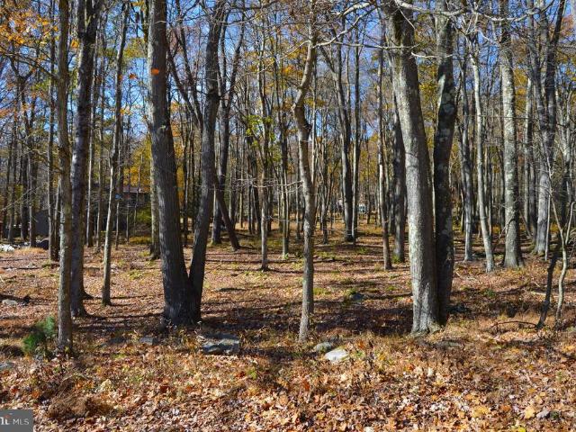 Land for sale in Terra Alta, West Virginia