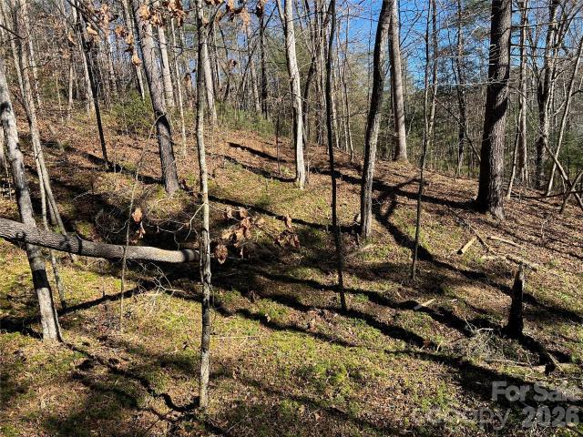 Land for sale in Hendersonville, North Carolina