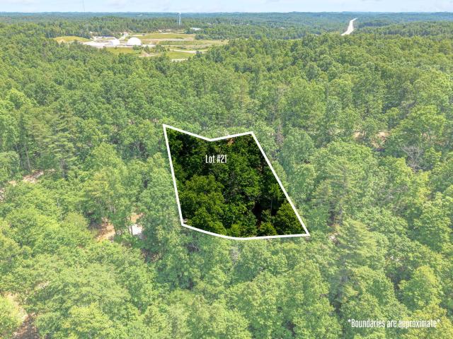 Land for sale in Wolfe, Kentucky