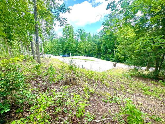 Land for sale in Corbin, Whitley County