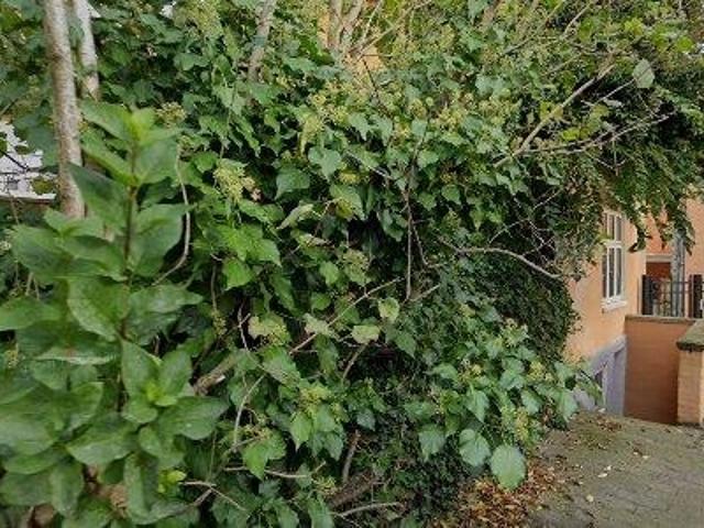 Lejlighed til salg i Aalborg, Brønderslev-Dronninglund