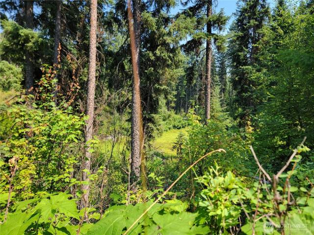 Land for sale in Washington