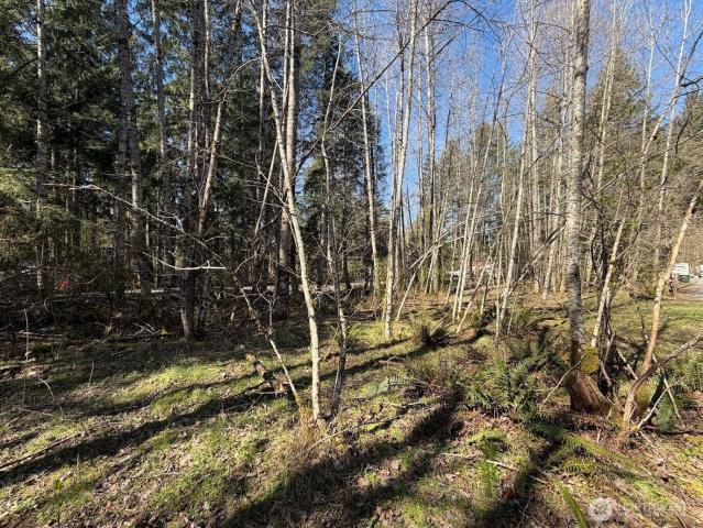 Land for sale in Ashford, Washington