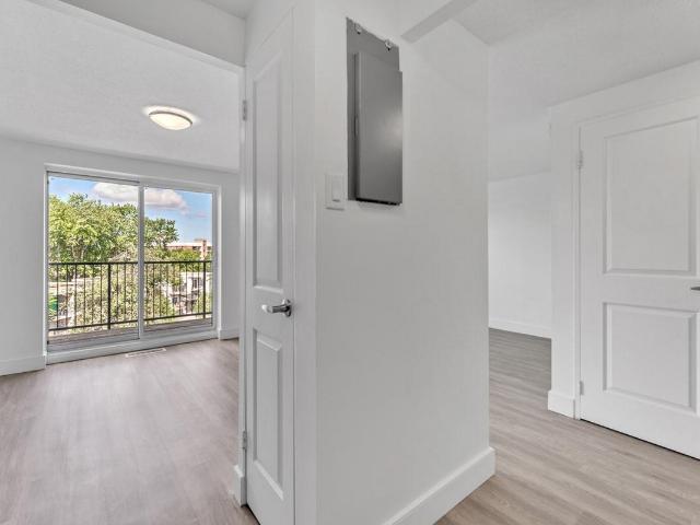 Apartment for rent in Kingston, Ontario