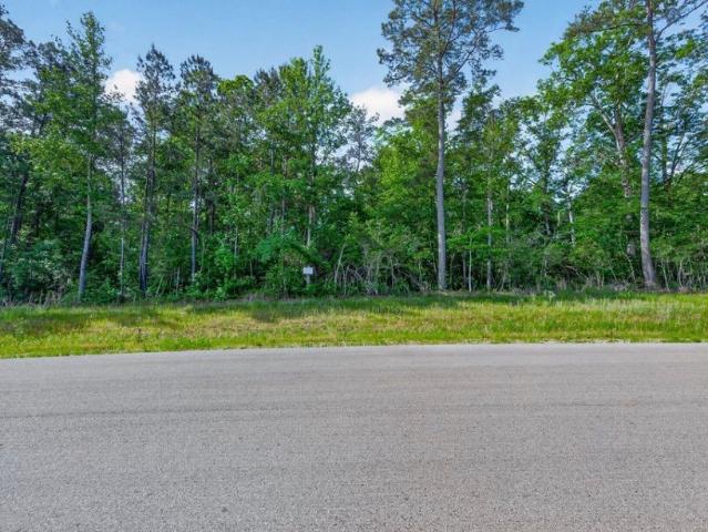 Land for sale in Walker, Texas