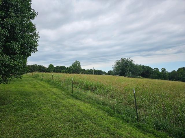 Land for sale in Goodman, Missouri