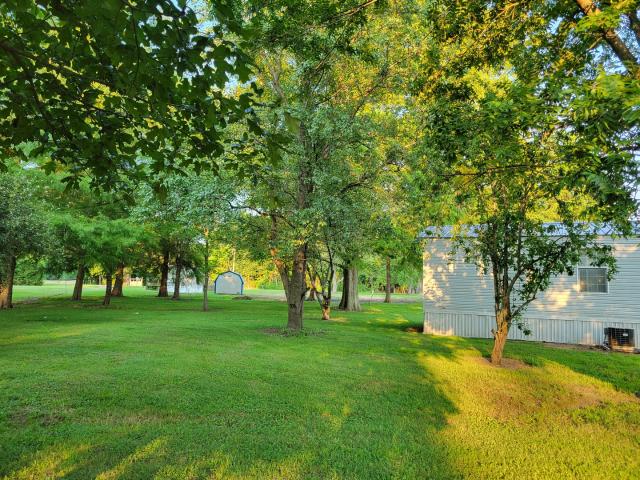 House for sale in Pulaski, Illinois