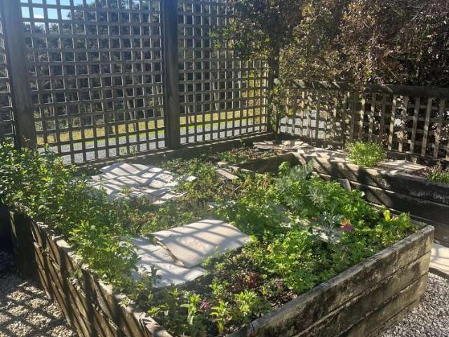 House for rent in Auckland, Oroua County