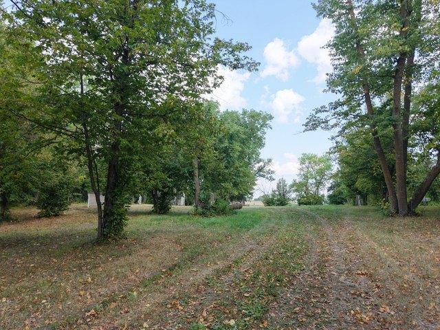 Land for sale in Erskine, Minnesota