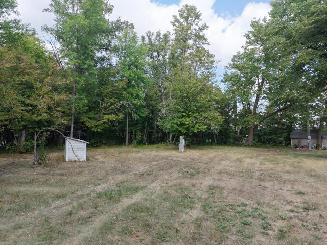 Land for sale in Erskine, Minnesota