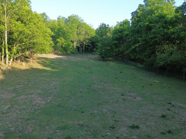 Land for sale in Tennessee