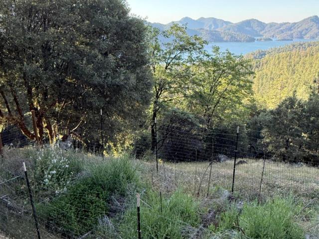 Land for sale in Shasta County, California