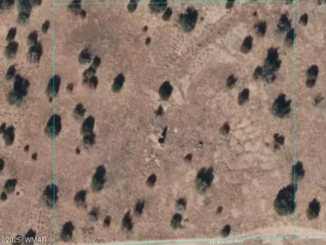 House for rent in Navajo, Arizona